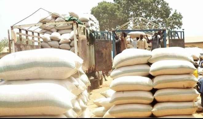 Prices Of Rice Drops By 25 In Maiduguri